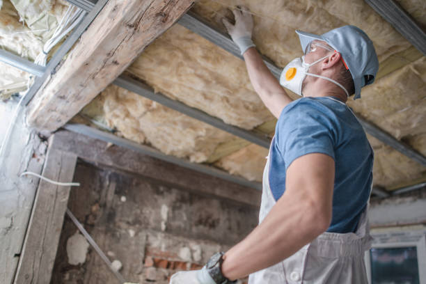 Best Insulation Installation Services in Surprise, AZ
